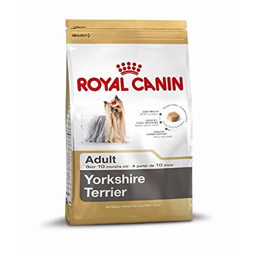 Royal Canin 35120 Breed Yorkshire Terrier 500 g - Hundefutter von ROYAL CANIN