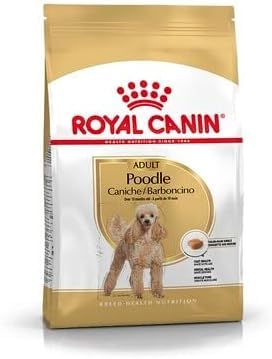 Royal Canin Poodle Adult | 500 g | Trockenfutter für ausgewachsene Poodle | Zur Unterstützung des Fells und des Muskeltonus | Für Hunde ab dem 10. Lebensmonat von ROYAL CANIN