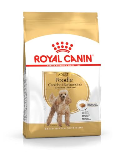 Royal Canin Poodle Adult | 500 g | Trockenfutter für ausgewachsene Poodle | Zur Unterstützung des Fells und des Muskeltonus | Für Hunde ab dem 10. Lebensmonat Royal Canin Poodle Adult | 500 g | Trockenfutter für ausgewachsene Poodle | Zur Unterstützung des Fells und des Muskeltonus | Für Hunde ab dem 10. Lebensmonat von Royal Canin