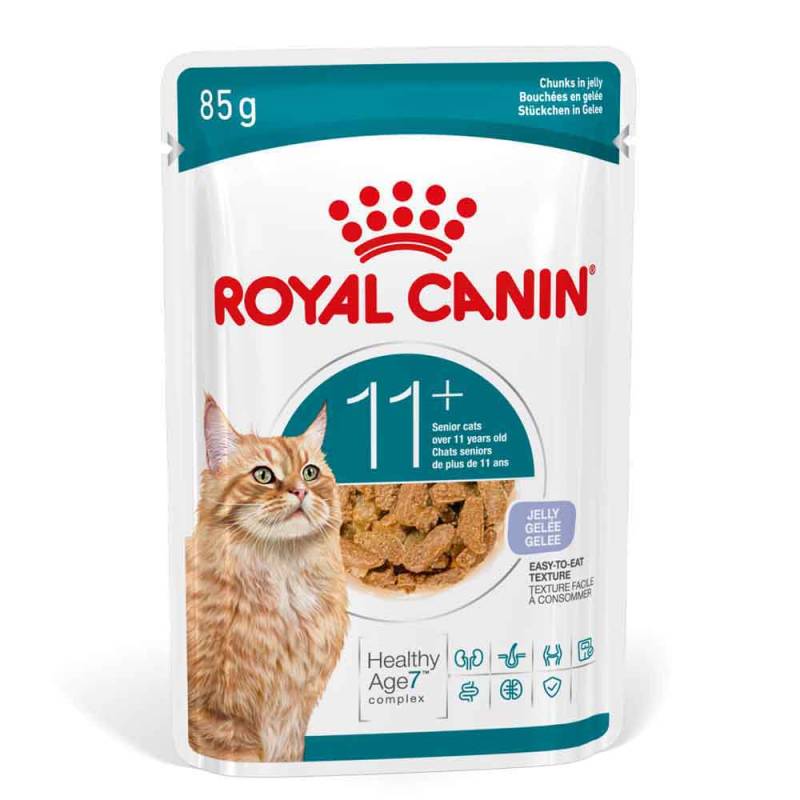 Royal Canin Ageing 11+ in Gelee - 12 x 85 g von Royal Canin