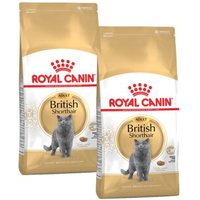 ROYAL CANIN British Shorthair Adult 2x10 kg von Royal Canin