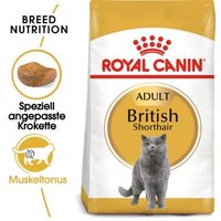 ROYAL CANIN British Shorthair Adult 4 kg von Royal Canin
