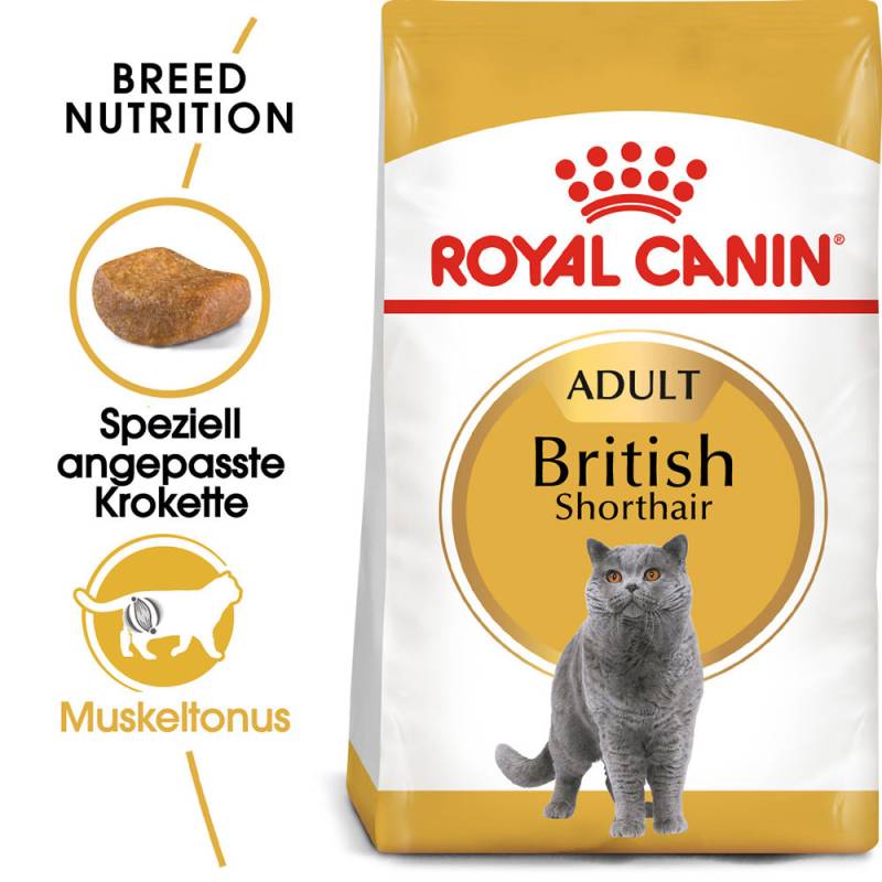Royal Canin British Shorthair Adult Katzenfutter - 10 kg von Royal Canin