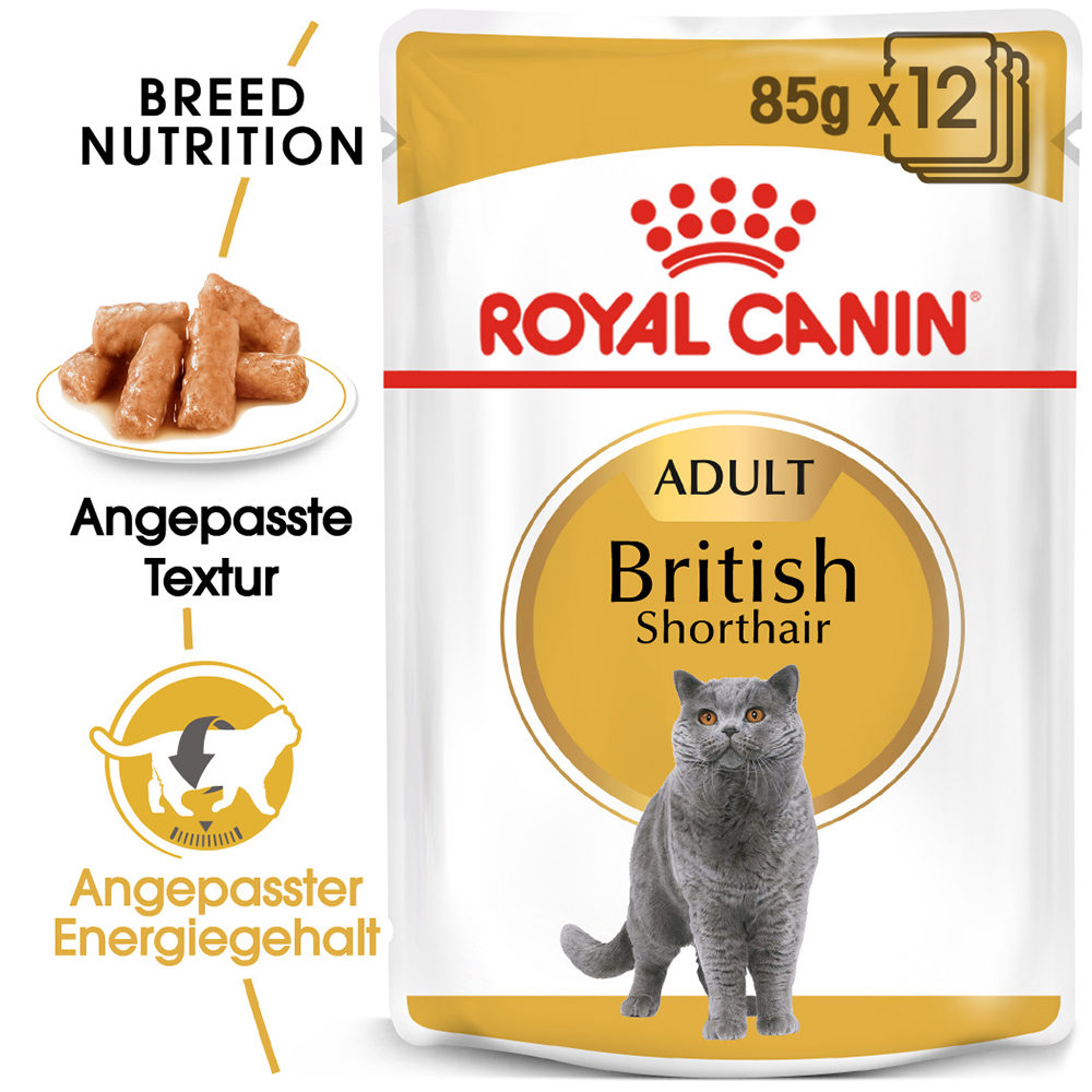 Royal Canin British Shorthair Adult Katzenfutter - Frischebeutel - 12 x 85 g Royal Canin British Shorthair Adult Katzenfutter - Frischebeutel - 12 x 85 g von Royal Canin