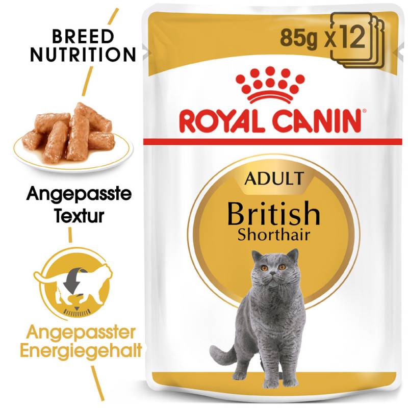 Royal Canin British Shorthair Adult Wet - 24 x 85 g von Royal Canin