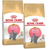 ROYAL CANIN British Shorthair Kitten 2x10 kg von Royal Canin