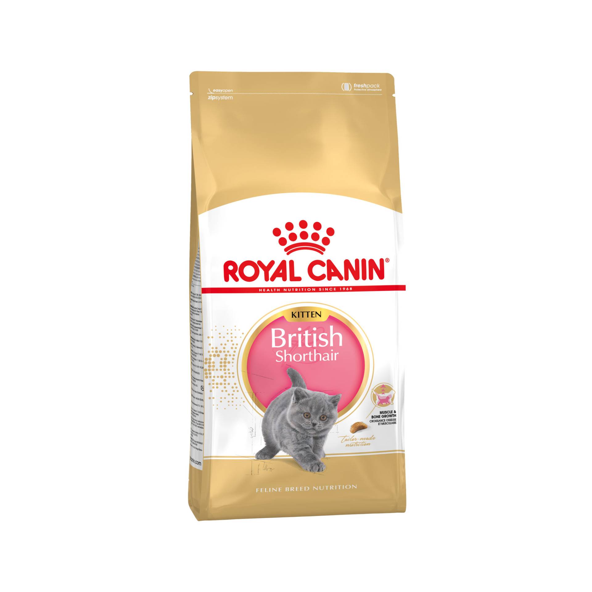 Royal Canin British Shorthair Kitten Katzenfutter - 10 kg Royal Canin British Shorthair Kitten Katzenfutter - 10 kg von Royal Canin