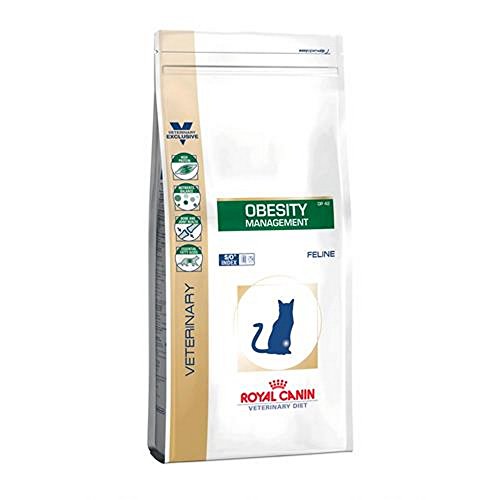 Royal Canin Cat Obesity, 1er Pack (1 x 400 g) von ROYAL CANIN