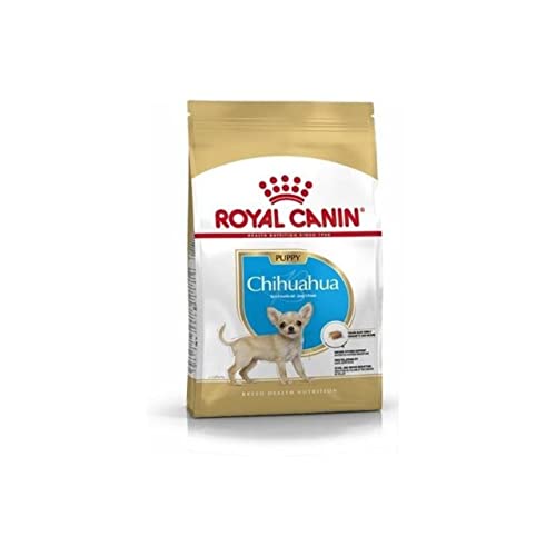 Royal Canin Chihuahua Junior 1,5 kg, 1er Pack (1 x 1.5 kg) von Royal Canin
