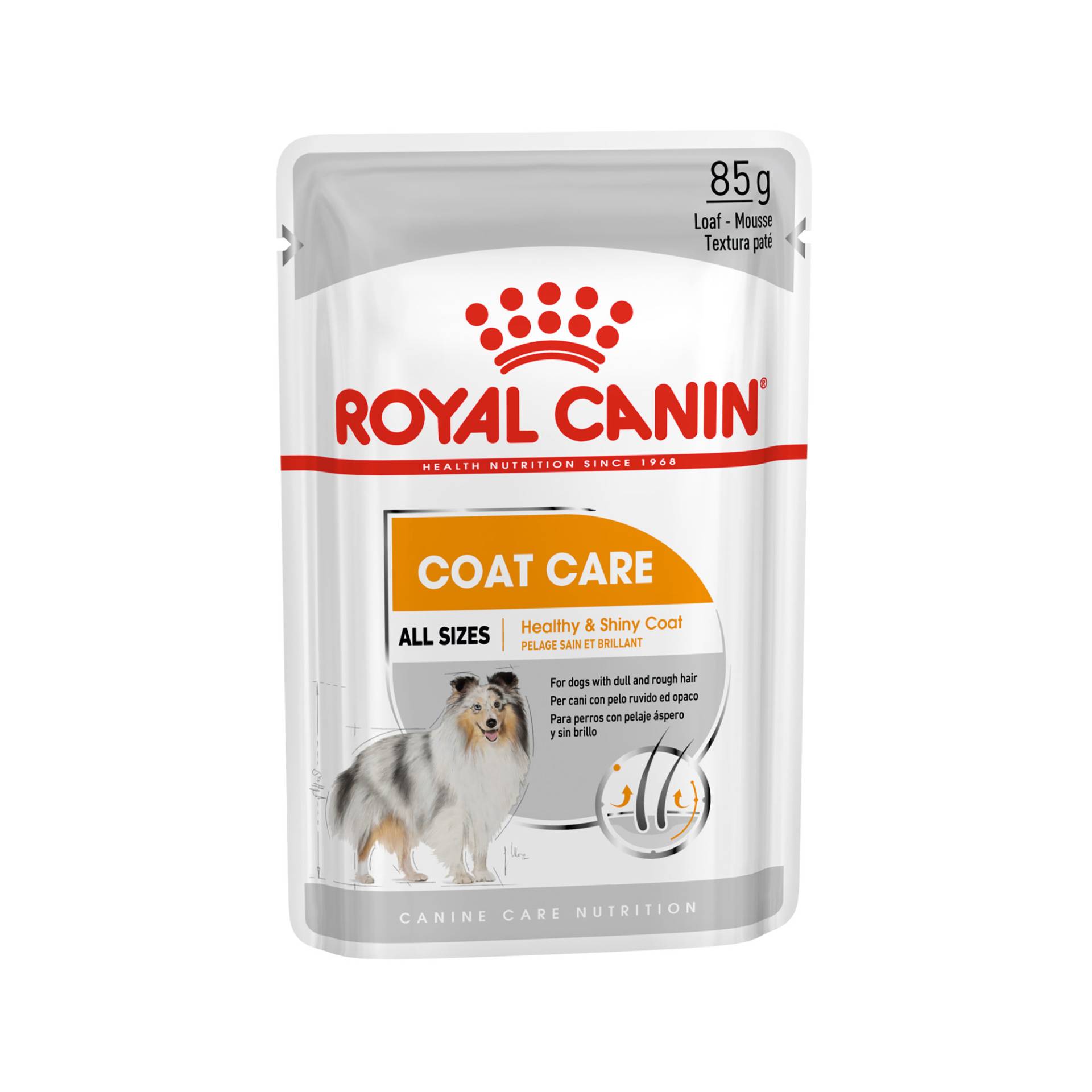 Royal Canin Coat Care Hundefutter - Frischebeutel - 12 x 85 g von Royal Canin