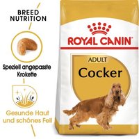 ROYAL CANIN Cocker Adult 12 kg von Royal Canin