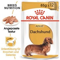 ROYAL CANIN Dachshund Adult Mousse 12x85 g von Royal Canin