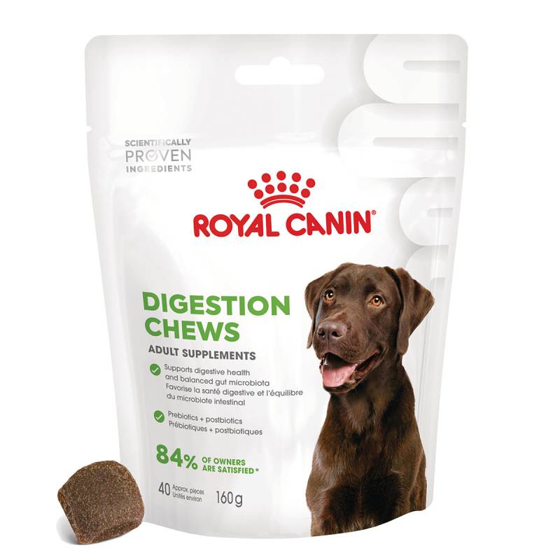 Royal Canin Digestion Chews Adult Supplements 160g von Royal Canin