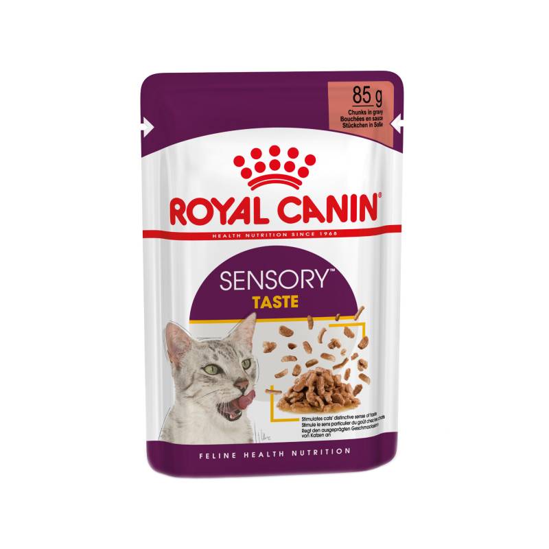 Royal Canin FHN Sensory Taste In Gravy - 12 x 85 g von Royal Canin
