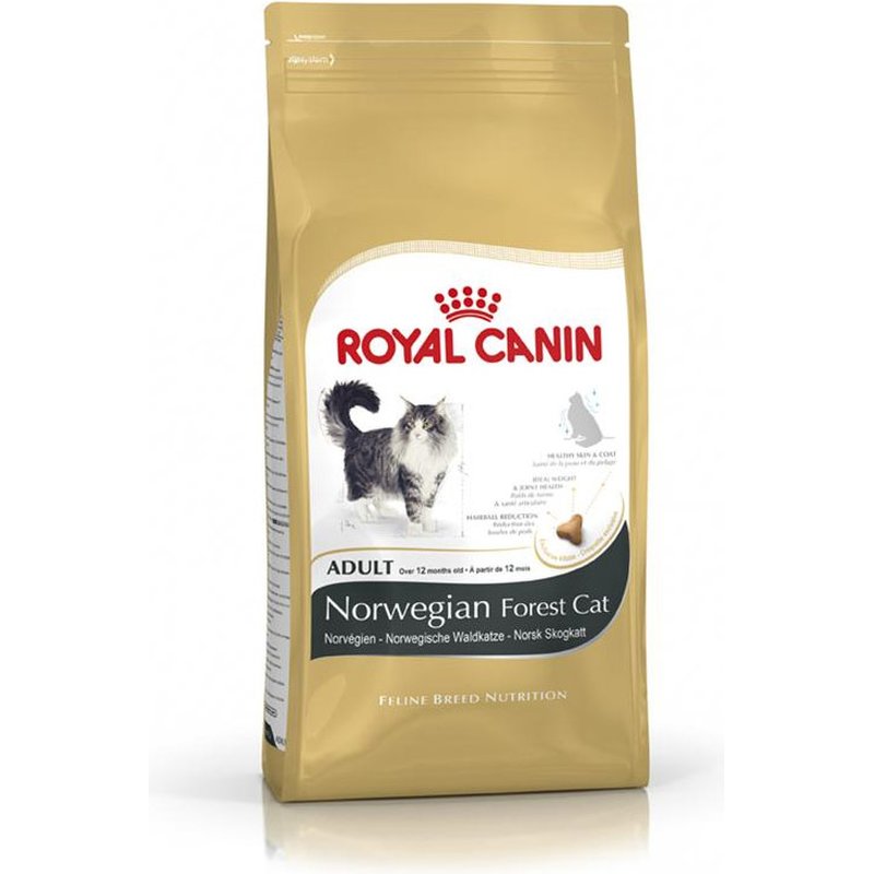 Royal Canin Feline Breed Norwegische Waldkatze - 10 kg (8,69 € pro 1 kg) von Royal Canin