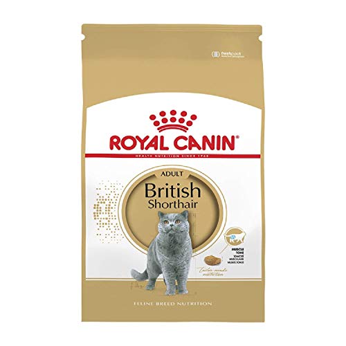 Royal Canin Feline British Shorthair, 1er Pack (1 x 2 kg Beutel) - Katzenfutter von Royal Canin