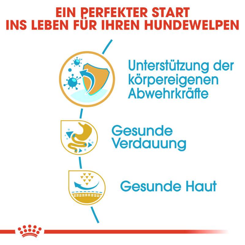 Royal Canin French Bulldog Puppy Hundefutter - 3 kg von Royal Canin