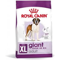 ROYAL CANIN SHN Giant Adult 4 kg von Royal Canin