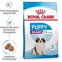 ROYAL CANIN Giant Puppy 3,5 kg von Royal Canin