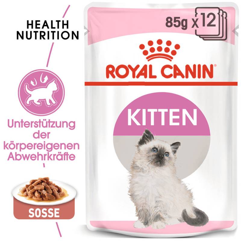 Royal Canin Gravy Kittenfutter - Frischebeutel - 12 x 85 g von Royal Canin