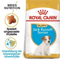 ROYAL CANIN Jack Russel Terrier Puppy 1,5 kg von Royal Canin