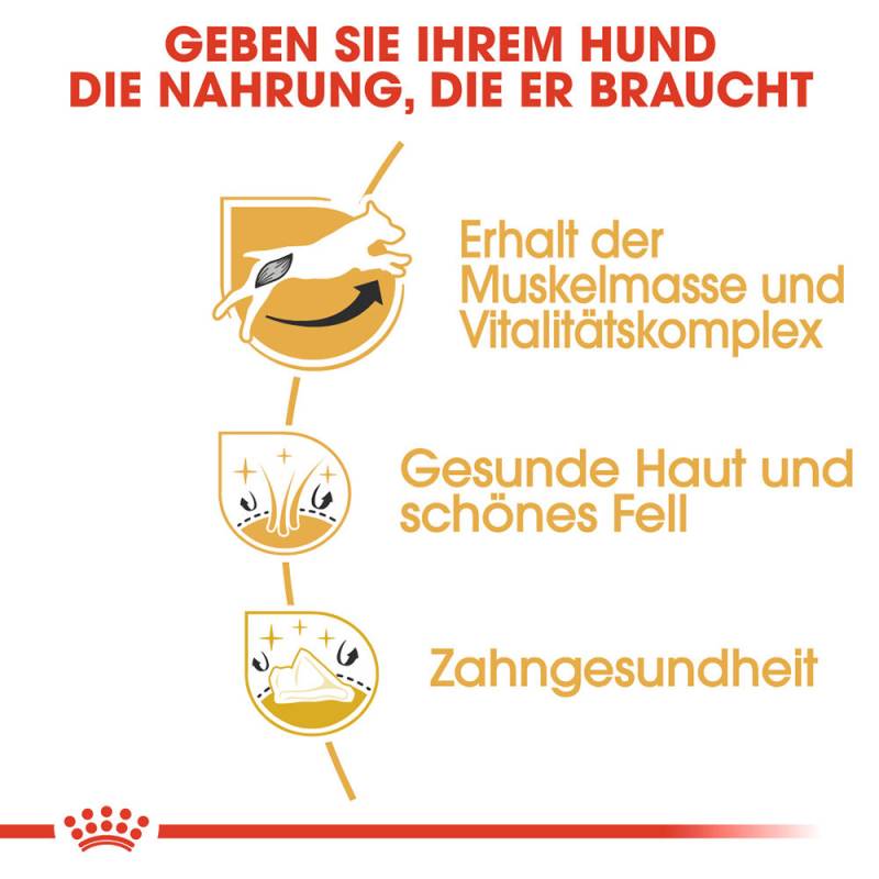 Royal Canin Jack Russell Terrier Adult Hundefutter - 1,5 kg von Royal Canin