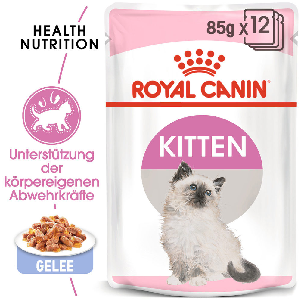 Royal Canin Jelly Kittenfutter - Frischebeutel - 12 x 85 g von Royal Canin