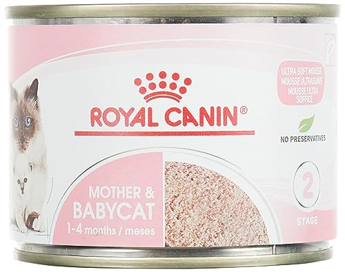 Royal Canin Katzenfutter Feline Babycat Instinctive 195 g, 6er Pack (6 x 195 g) von Royal Canin