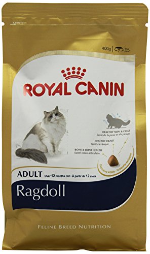 Royal Canin Katzenfutter Ragdoll 400 g, 2er Pack (2 x 400 g) von Royal Canin