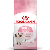 Royal Canin Kitten - 10 kg von Royal Canin