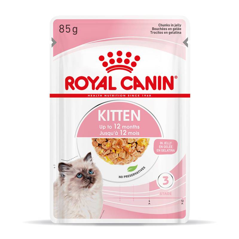 Royal Canin Kitten in Gelee - Sparpaket: 24 x 85 g von Royal Canin