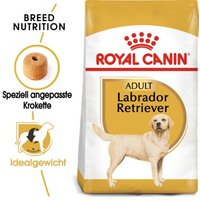 ROYAL CANIN Labrador Retriever Adult 12 kg von Royal Canin