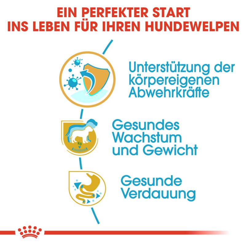 Royal Canin Labrador Retriever Puppy Hundefutter - 3 kg Royal Canin Labrador Retriever Puppy Hundefutter - 3 kg von Royal Canin