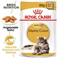 ROYAL CANIN Maine Coon Adult in Soße 12x85 g von Royal Canin