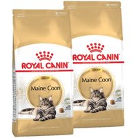 ROYAL CANIN Maine Coon Adult 2x10 kg von Royal Canin