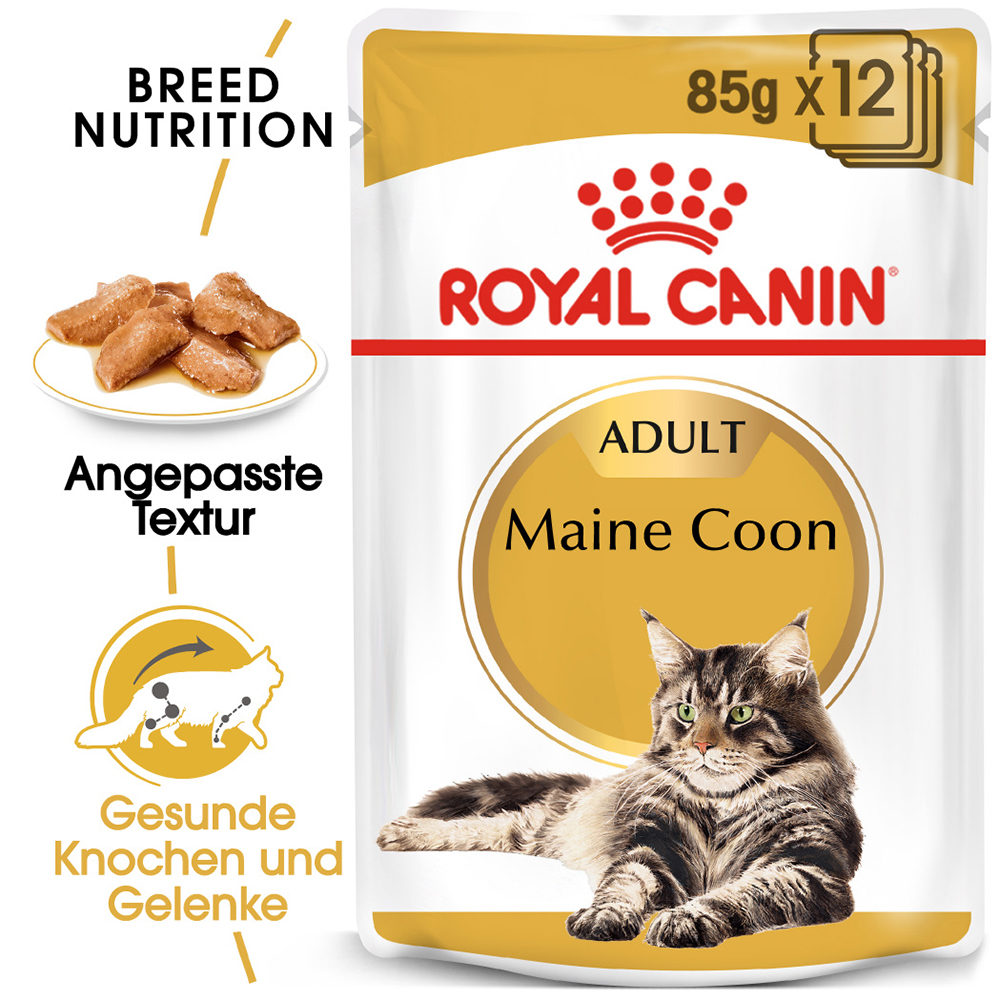 Royal Canin Maine Coon Adult Katzenfutter - Frischebeutel - 12 x 85 g Royal Canin Maine Coon Adult Katzenfutter - Frischebeutel - 12 x 85 g von Royal Canin