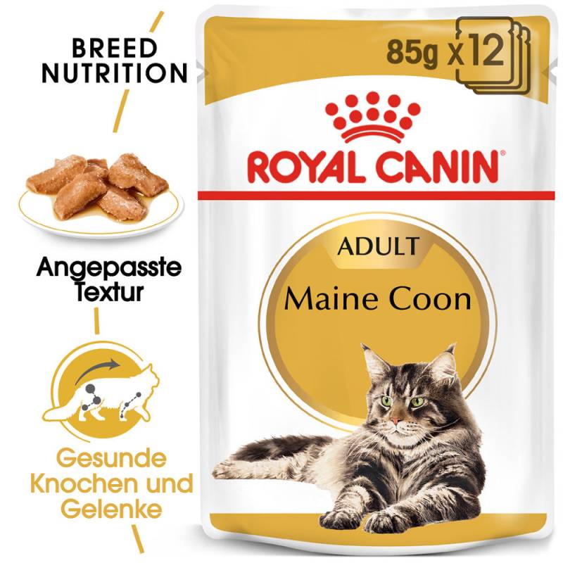 Royal Canin Maine Coon Adult Katzenfutter - Frischebeutel - 12 x 85 g von Royal Canin
