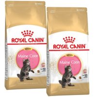ROYAL CANIN Maine Coon Kitten 2x10 kg von Royal Canin