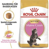 ROYAL CANIN Maine Coon Kitten 4 kg von Royal Canin