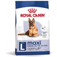ROYAL CANIN SHN Maxi Ageing 8+ 3 kg von Royal Canin