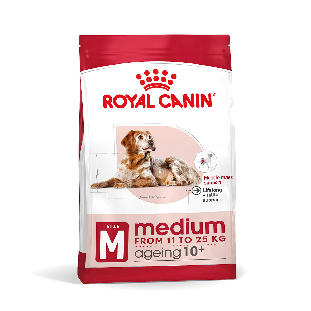 ROYAL CANIN MEDIUM Ageing 10+ Trockenfutter für ältere mittelgroße Hunde 2x15kg von Royal Canin