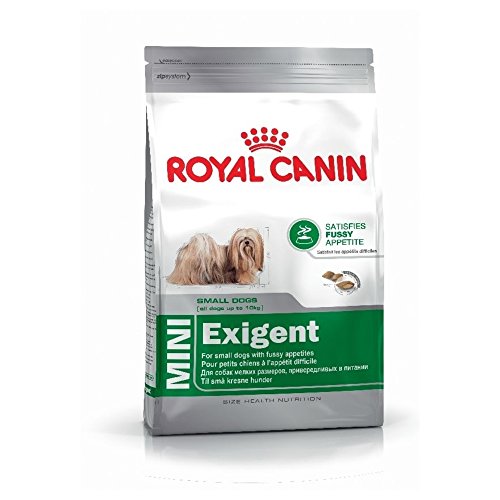 Royal Canin Mini Exigent, 1er Pack (1 x 4 kg) von Royal Canin