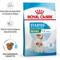 ROYAL CANIN Mini Starter 4 kg von Royal Canin