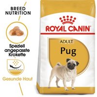 ROYAL CANIN Mops Adult 3 kg ROYAL CANIN Mops Adult 3 kg von Royal Canin