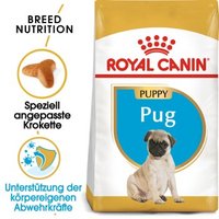 ROYAL CANIN Mops Puppy 1,5 kg ROYAL CANIN Mops Puppy 1,5 kg von Royal Canin