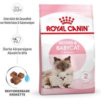 ROYAL CANIN Mother & Babycat 4 kg von Royal Canin