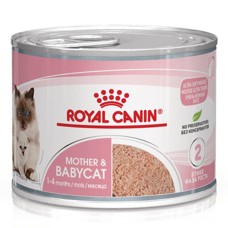 Royal Canin Mother & Babycat Ultra Soft Mousse - Sparpaket: 24 x 195 g Royal Canin Mother & Babycat Ultra Soft Mousse - Sparpaket: 24 x 195 g von Royal Canin