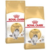 ROYAL CANIN Norwegian Forest Adult 2x10 kg von Royal Canin