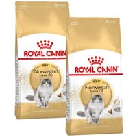 ROYAL CANIN Norwegian Forest Adult 2x10 kg ROYAL CANIN Norwegian Forest Adult 2x10 kg von Royal Canin