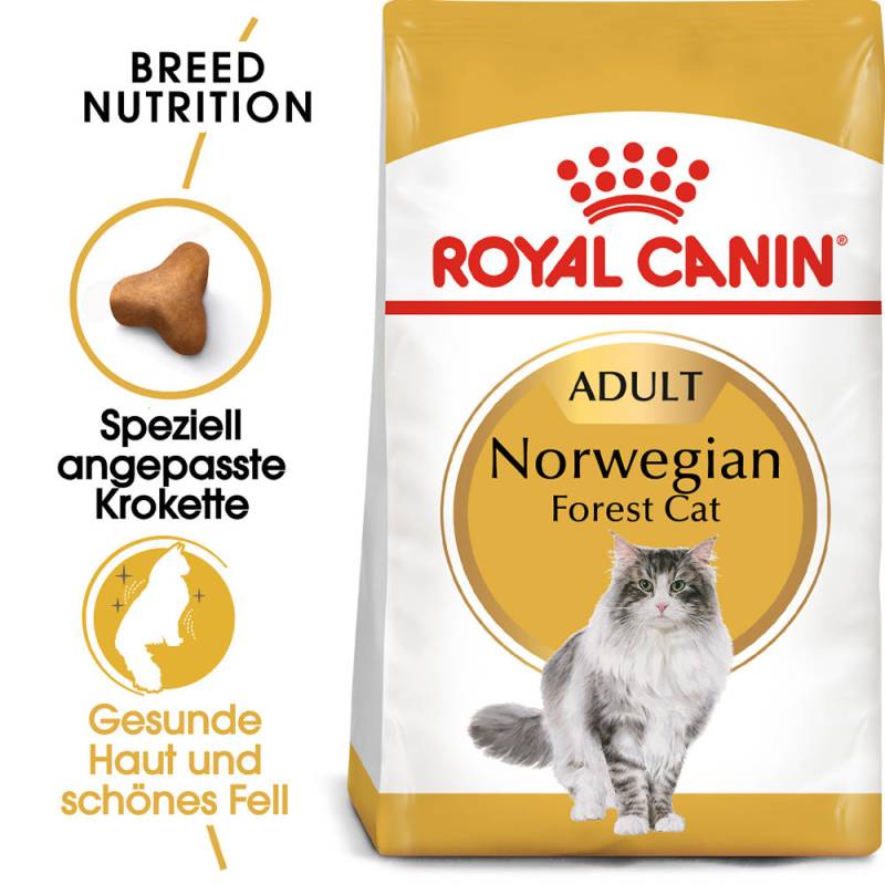 Royal Canin Norwegian Forest Cat Adult Katzenfutter - 400 g von Royal Canin